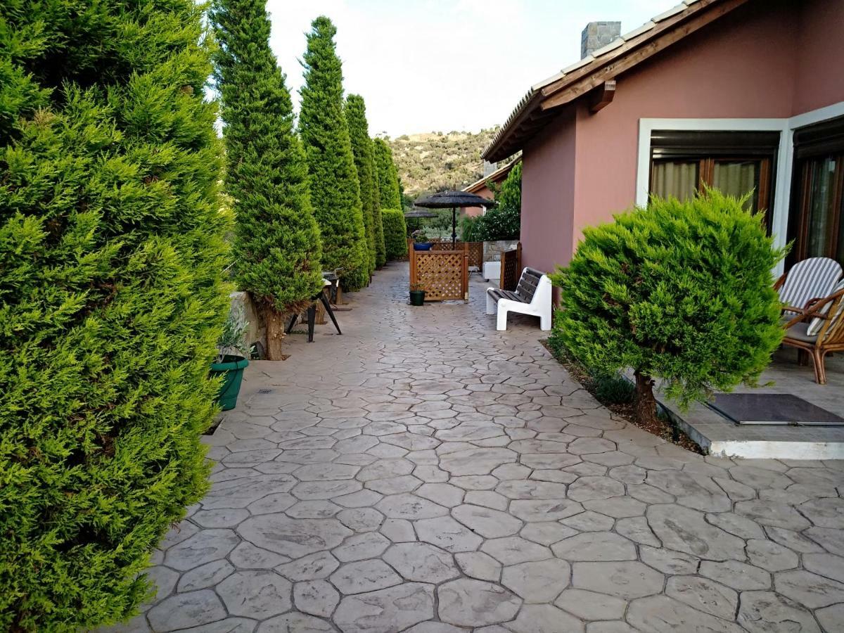 Villa Katerina Stalida Extérieur photo